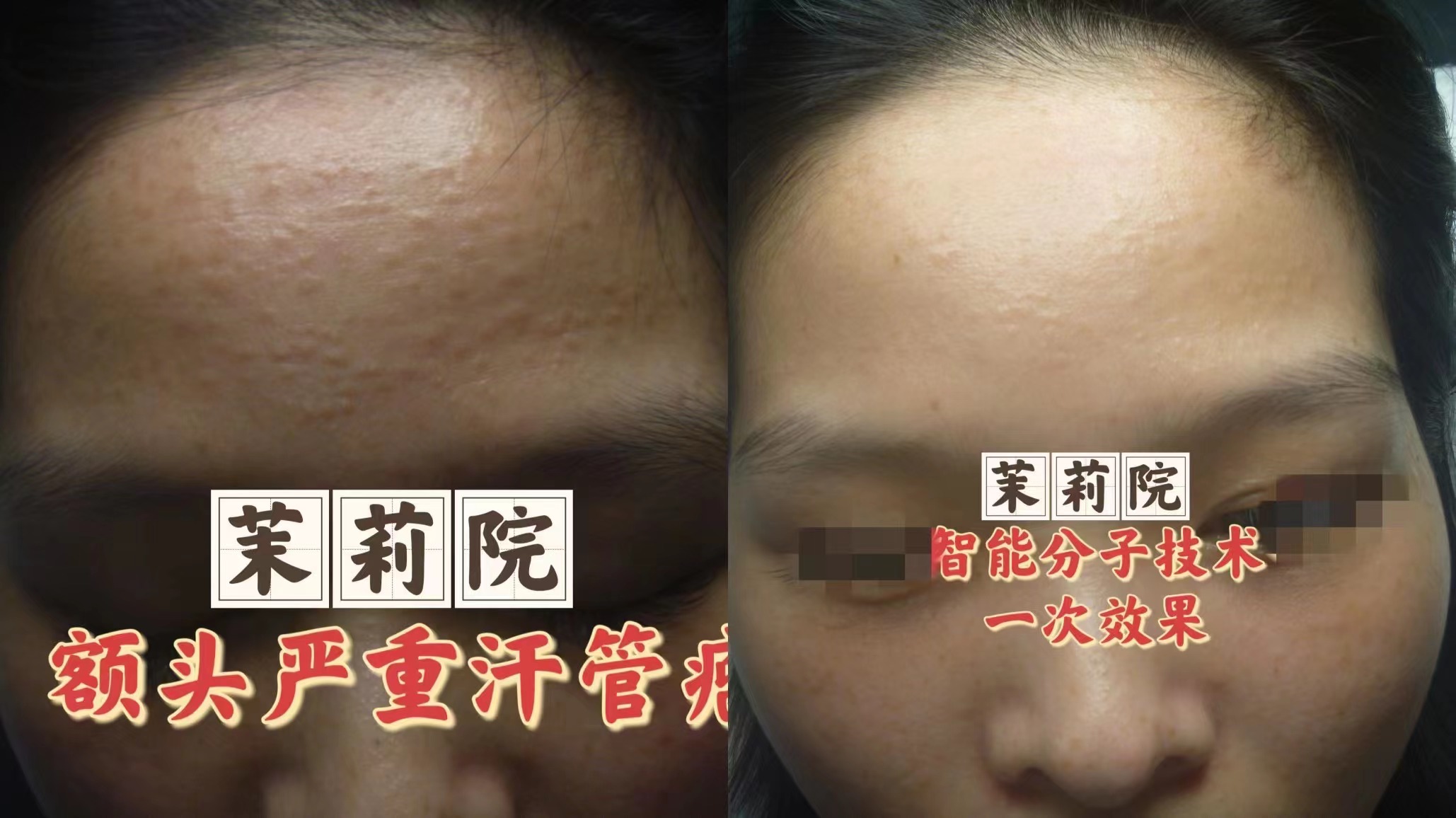 茉莉院十月外巡开放预约(图2)